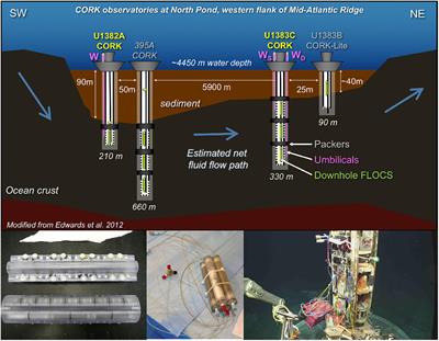 Using Cathodic Poised Potential Experiments to Investigate Extracellular Electron Transport in the Crustal Deep Biosphere of North Pond, Mid-Atlantic Ridge